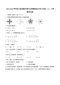 2023-2024学年四川省成都市青羊区树德实验中学九年级（上）入学数学试卷(含解析）