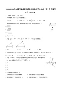 2023-2024学年四川省成都市武侯区棕北中学九年级（上）月考数学试卷（12月份）(含解析）