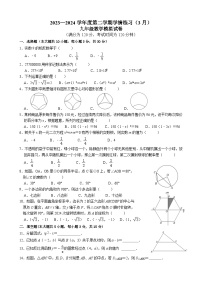 2024年广东省茂名市高州市第一中学附属实验中学九年级中考一模数学试题