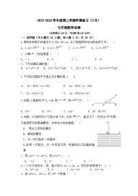 广东省茂名市高州市第一中学附属实验中学2023-2024学年七年级下学期3月月考数学试题