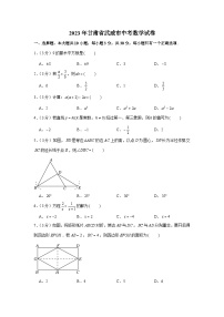 2023年甘肃省武威市中考数学试卷