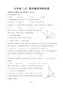 七年级（上）期末数学训练试卷