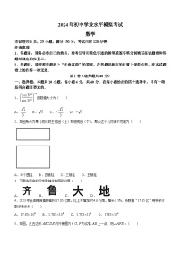 2024年湖南省部分学校中考一模数学试题