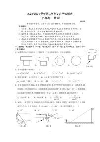 2024深圳龙华外国语学校九年级周测数学试卷无答案版