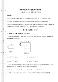 【中考特训】湖南省岳阳市中考数学一模试题（含答案详解）