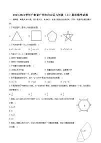 2023-2024学年广东省广州市白云区九年级（上）期末数学试卷（含解析）