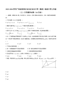 2023-2024学年广东省深圳市宝安区宝安中学（集团）海滨中学九年级（上）月考数学试卷（10月份）(含解析）