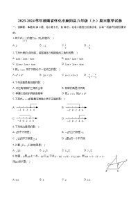 2023-2024学年湖南省怀化市麻阳县八年级（上）期末数学试卷（含解析）