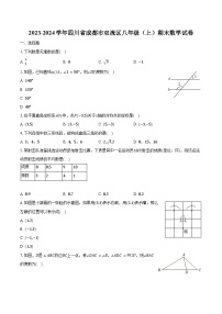 2023-2024学年四川省成都市双流区八年级（上）期末数学试卷（含解析）