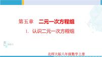 初中数学北师大版八年级上册第五章 二元一次方程组1 认识二元一次方程组说课课件ppt