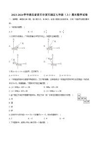 2023-2024学年湖北省黄石市黄石港区七年级（上）期末数学试卷（含解析）