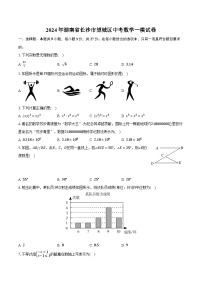 2024年湖南省长沙市望城区中考数学一模试卷（含解析）