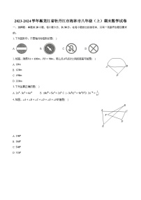 2023-2024学年黑龙江省牡丹江市海林市八年级（上）期末数学试卷（含解析）