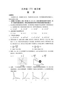 江苏省南京师范大学附属中学树人学校2023—2024学年九年级下学期3月月考数学试卷