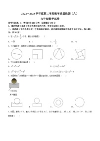 2022-2023学年辽宁省抚顺市新宾县九年级下学期教学质量检测（六）数学模拟预测题