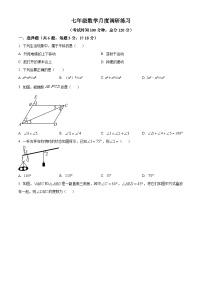 江苏省 镇江市丹徒区高资中学2023-2024学年七年级下学期3月月考数学试题（原卷版+解析版）