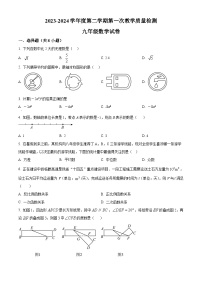 江苏省连云港市灌云县西片2023-2024学年九年级下学期3月月考数学试题（原卷版+解析版）