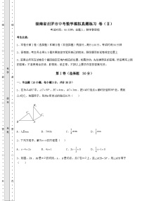 【中考特训】湖南省汨罗市中考数学模拟真题练习 卷（Ⅱ）（含答案详解）