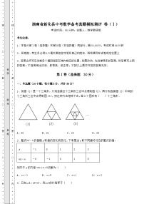 【中考特训】湖南省新化县中考数学备考真题模拟测评 卷（Ⅰ）（含答案详解）