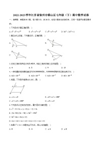 江苏省徐州市铜山区2022-2023学年七年级下学期期中数学试卷+