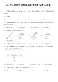 2023年4月济南市长清区七年级下数学期中试题（含答案）