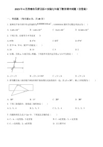 2023年4月济南市天桥区泺口实验七年级下数学期中试题（含答案）
