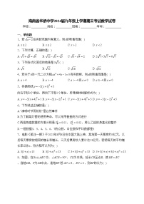 海南省华侨中学2024届九年级上学期期末考试数学试卷(含答案)