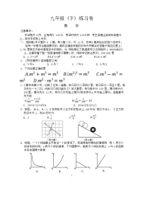 江苏省南京师范大学附属中学树人学校2023—2024学年九年级下学期3月月考数学试卷