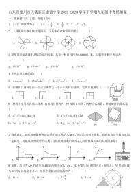 山东省德州市天衢新区崇德中学2022-2023学年下学期九年级数学中考模拟卷一