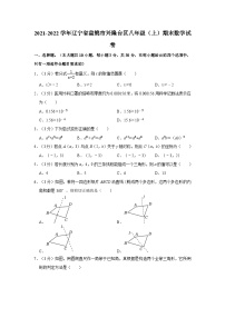 +辽宁省盘锦市兴隆台区2021-2022学年八年级上学期期末数学试卷+