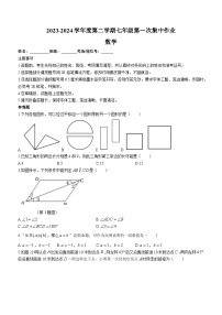 江苏省南京市雨花台中学2023-2024学年七年级下学期3月月考数学试题(无答案)