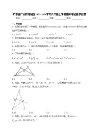 广东省广州市增城区2023-2024学年八年级上学期期末考试数学试卷(含答案)