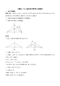 中考数学二轮复习考点培优专练专题七 与三角形有关常用几何模型（2份打包，原卷版+解析版）