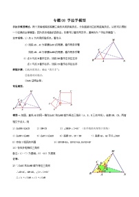 中考数学二轮复习满分突破几何模型练习专题08 手拉手模型（2份打包，原卷版+解析版）