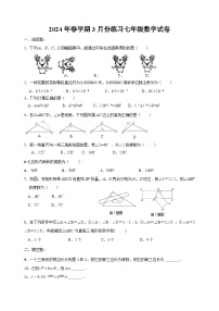 江苏省盐城市滨海县+2023-2024学年七年级下学期3月月考数学试题