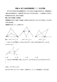 中考数学常见几何模型全归纳提分精练专题08角平分线的基本模型(二)非全等类(原卷版+解析)