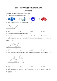 南京市联合体2023-2024学年八年级上学期期中数学试题（含答案解析）