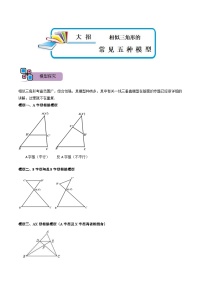 中考数学二轮重难点复习讲义模型05 相似三角形中的常见五种基本模型（2份打包，原卷版+解析版）