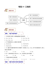 中考数学一轮复习题型归纳专练专题09 三角形（2份打包，原卷版+解析版）