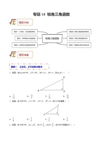 中考数学一轮复习题型归纳专练专题18 锐角三角函数（2份打包，原卷版+解析版）