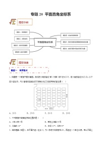 中考数学一轮复习题型归纳专练专题20 平面直角坐标系（2份打包，原卷版+解析版）