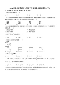 2024年湖北省武汉市中考模拟数学试题（三）