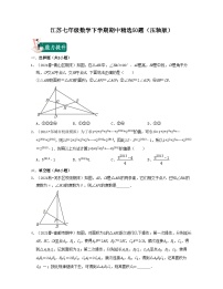 江苏七年级数学下学期期中精选50题（压轴版）-2023-2024学年七年级数学下学期考试满分全攻略（苏科版）