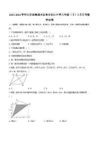 2023-2024学年江苏省南通市启东市长江中学八年级（下）3月月考数学试卷（含解析）