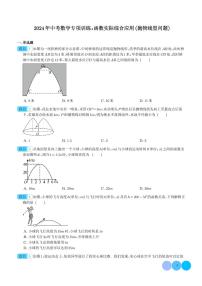 2024年中考数学专项训练：函数实际综合应用（抛物线型问题）