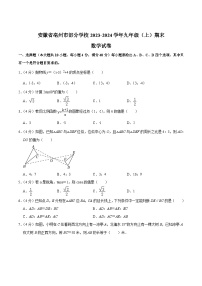 安徽省亳州市部分学校2024届九年级上学期期末数学试卷(含答案)