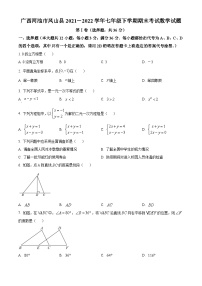 广西河池市2021－2022学年七年级下学期期末考试数学试题(人教版 含答案)