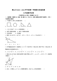 辽宁省鞍山市2024届九年级上学期期末质量检测数学试卷(含答案)