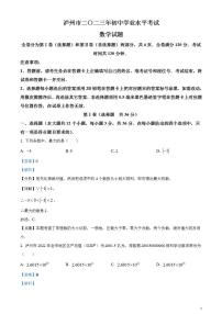 2023年四川省泸州市中考数学真题（解析版）试卷