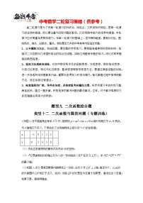 题型09 二次函数综合题 类型12 二次函数与圆的问题（专题训练）-最新中考数学二轮复习讲义+专题（全国通用）